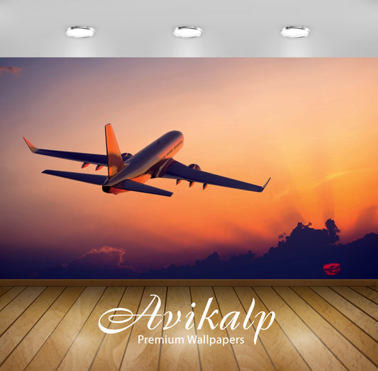 Avikalp Exclusive Awi3155 Towards The Sunset Aircraft Full HD Wallpapers for Living room, Hall, Kids