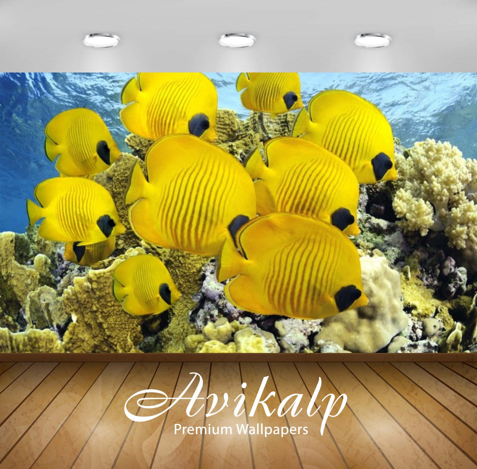 Avikalp Exclusive Awi3158 Tropical Butterfly Fish Sea Ocean Coral Islands Full HD Wallpapers for Liv