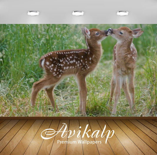 Avikalp Exclusive Awi3170 Two Little Cute Deer Full HD Wallpapers for Living room, Hall, Kids Room,