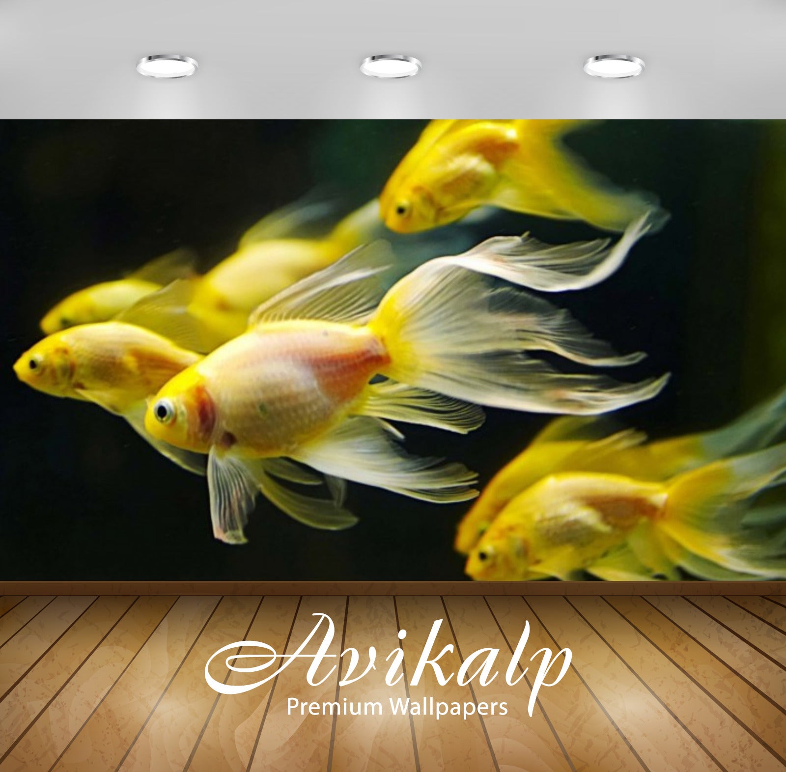 Avikalp Exclusive Awi3173 Underwater Fish Fishes Goldfish Full HD Wallpapers for Living room, Hall,