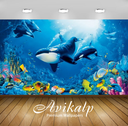 Avikalp Exclusive Awi3174 Underwater World Coral Reef Colorful Fish Marine Fauna With Ocean Orcas Ki