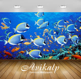 Avikalp Exclusive Awi3176 Underwater World Fishs Aquarium Full HD Wallpapers for Living room, Hall,