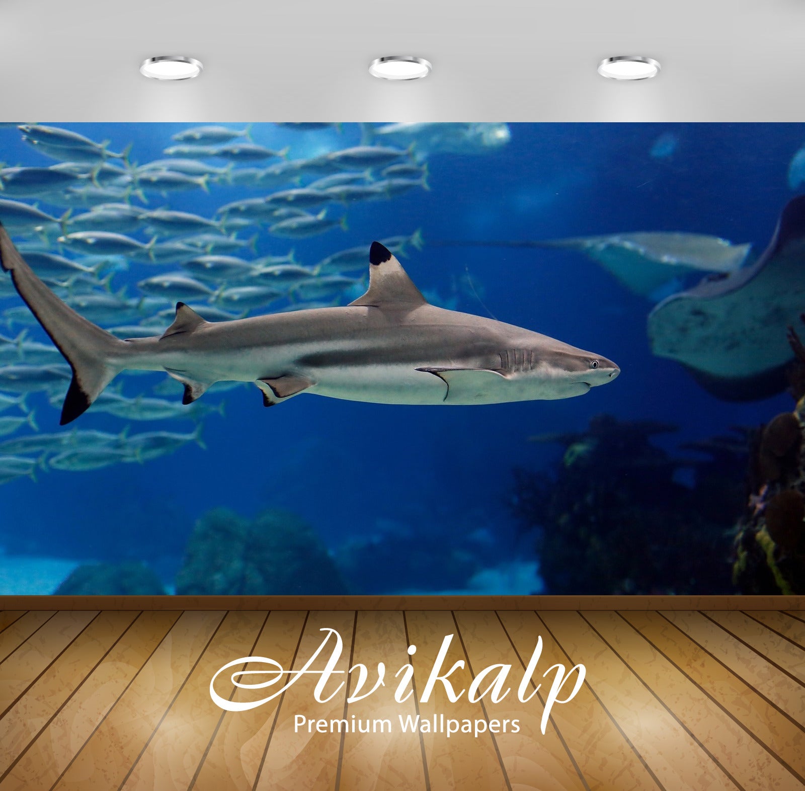 Avikalp Exclusive Awi3181 Underwater World Sharks Full HD Wallpapers for Living room, Hall, Kids Roo