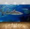 Avikalp Exclusive Awi3181 Underwater World Sharks Full HD Wallpapers for Living room, Hall, Kids Roo