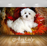 Avikalp Exclusive Awi3201 White Cute Dog Full HD Wallpapers for Living room, Hall, Kids Room, Kitche