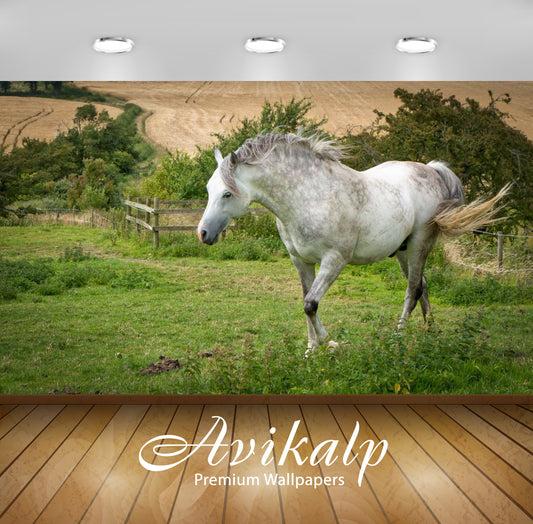 Avikalp Exclusive Awi3202 White Horse In Green Meadow Summer Full HD Wallpapers for Living room, Hal