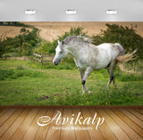 Avikalp Exclusive Awi3202 White Horse In Green Meadow Summer Full HD Wallpapers for Living room, Hal