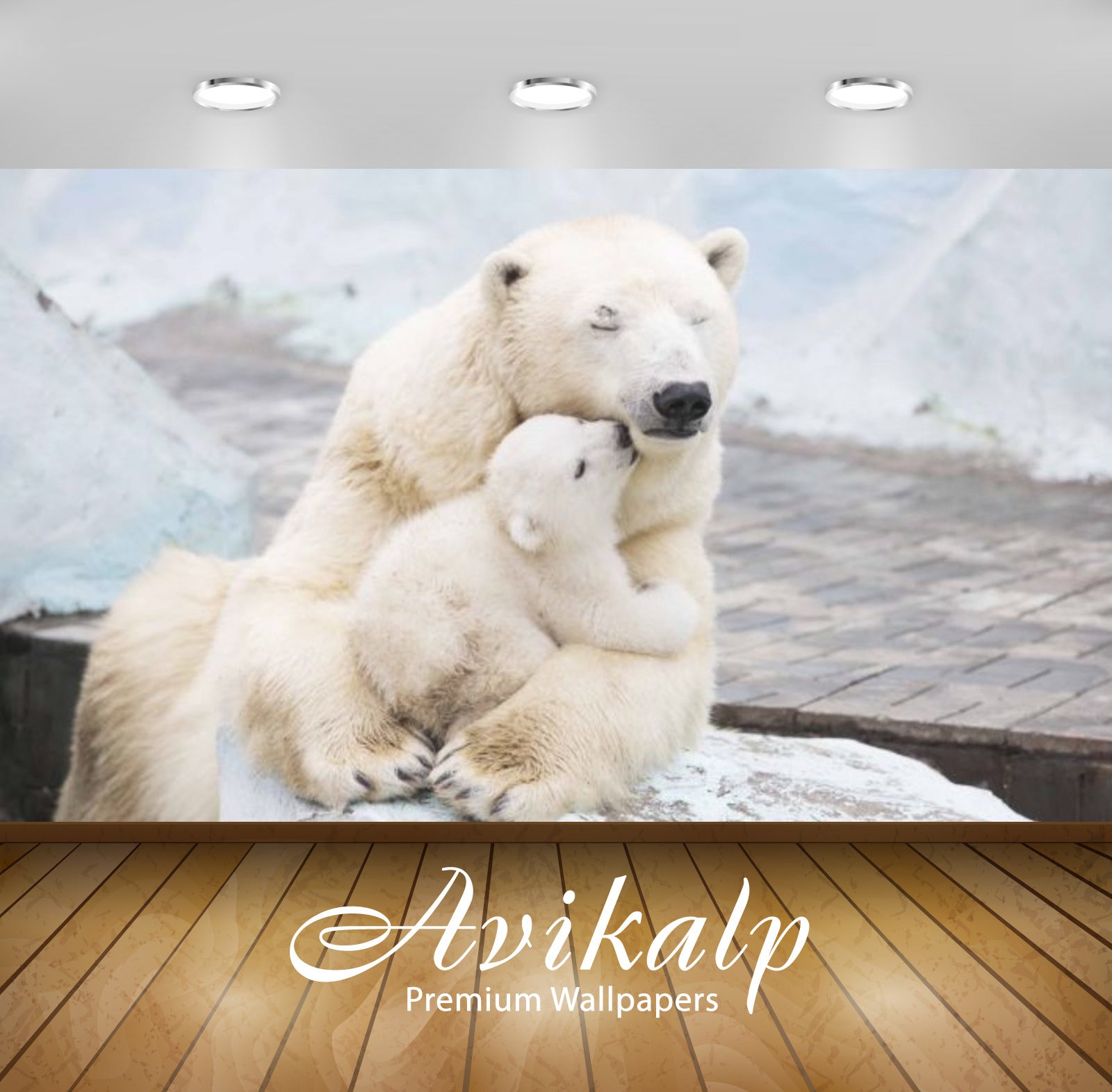 Avikalp Exclusive Awi3205 White Polar Bear Mother Love Full HD Wallpapers for Living room, Hall, Kid