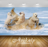 Avikalp Exclusive Awi3209 White Polar Bear With Cubs Small Cinch Staining The Snow Full HD Wallpaper