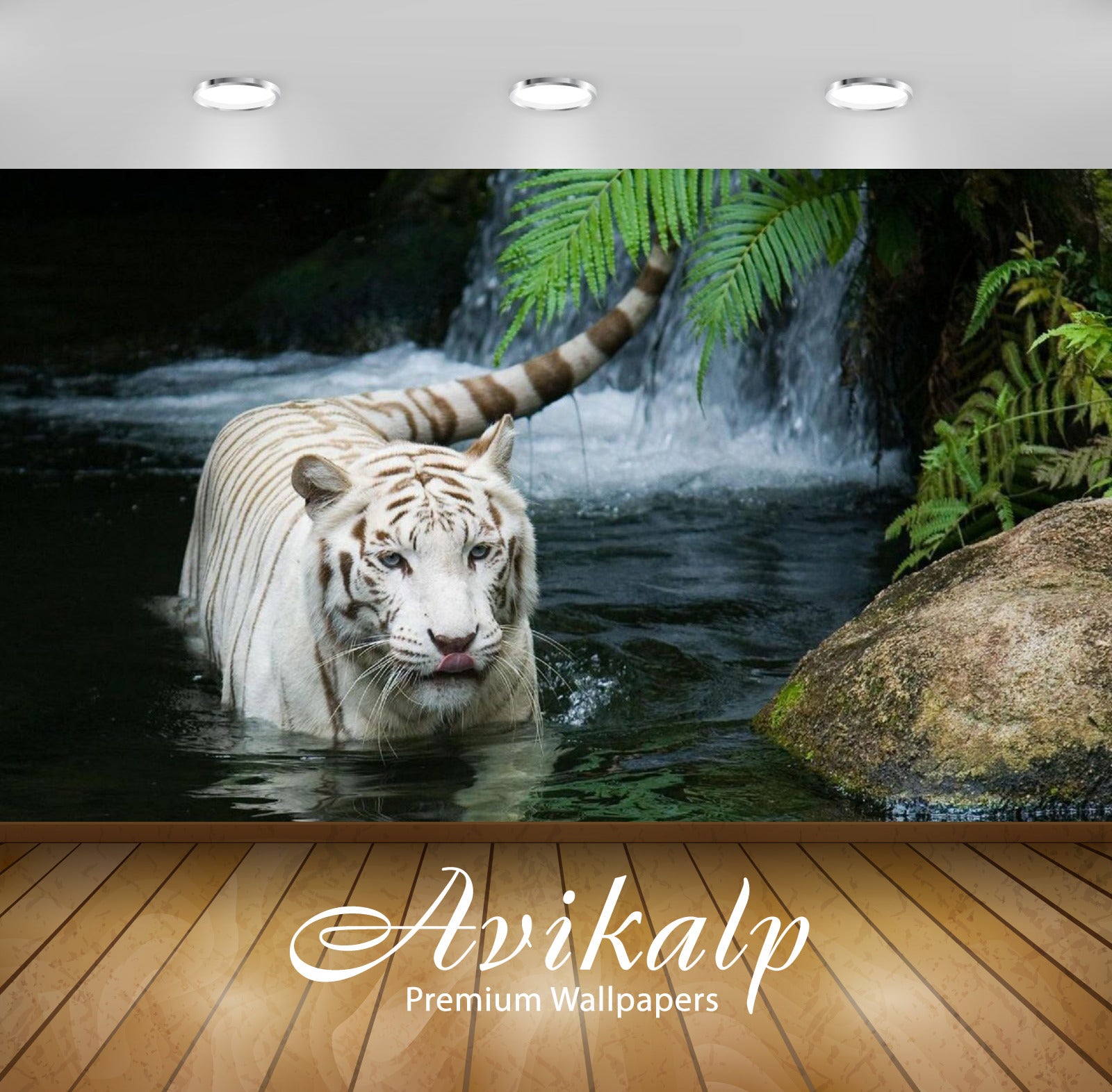 Avikalp Exclusive Awi3215 White Tiger Bathing In Water Full HD Wallpapers for Living room, Hall, Kid