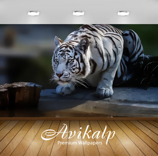 Avikalp Exclusive Awi3218 White Tiger Full HD Wallpapers for Living room, Hall, Kids Room, Kitchen,