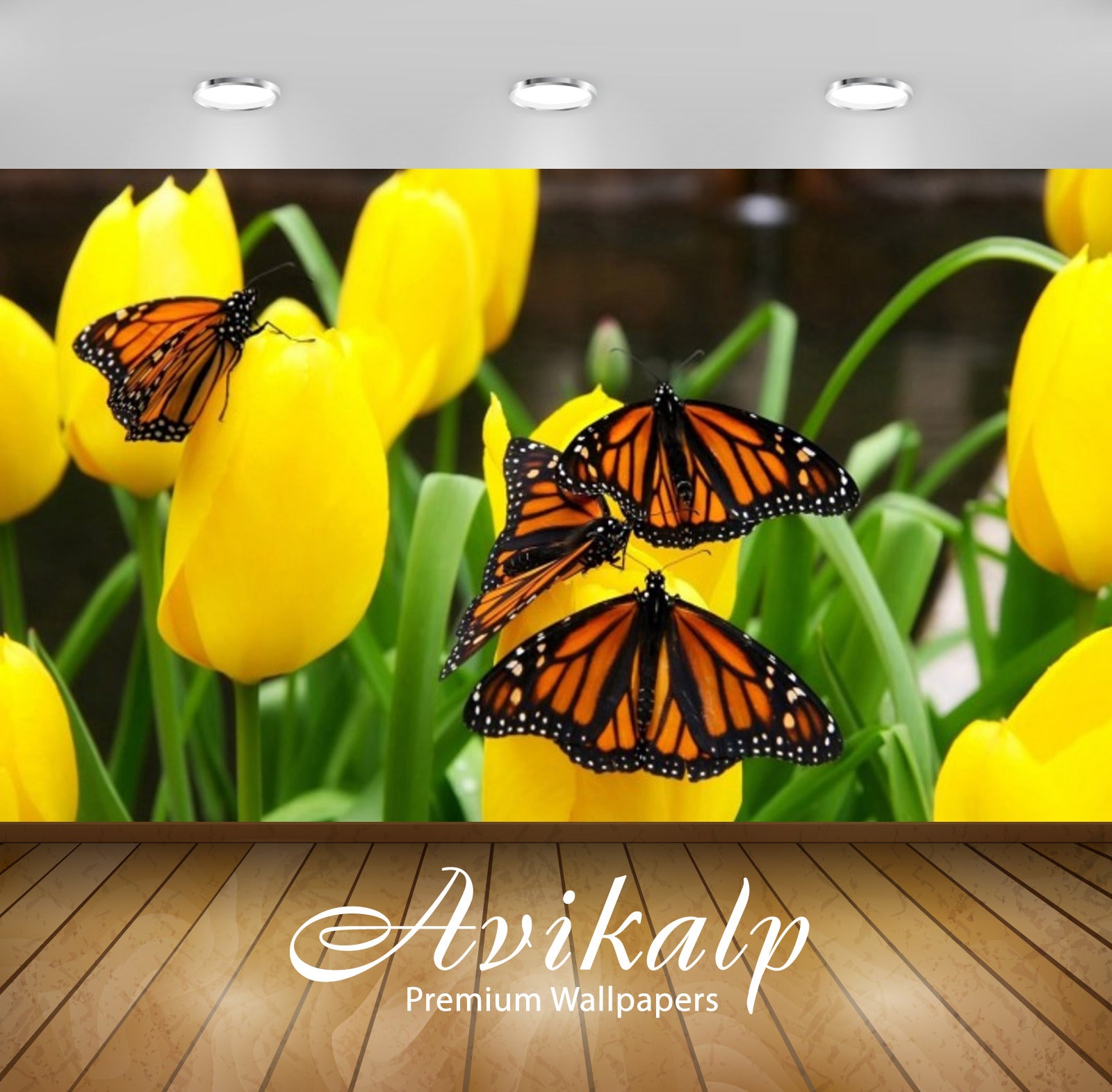 Avikalp Exclusive Awi3230 Yellow Tulips And Orange Butterflies Full HD Wallpapers for Living room, H