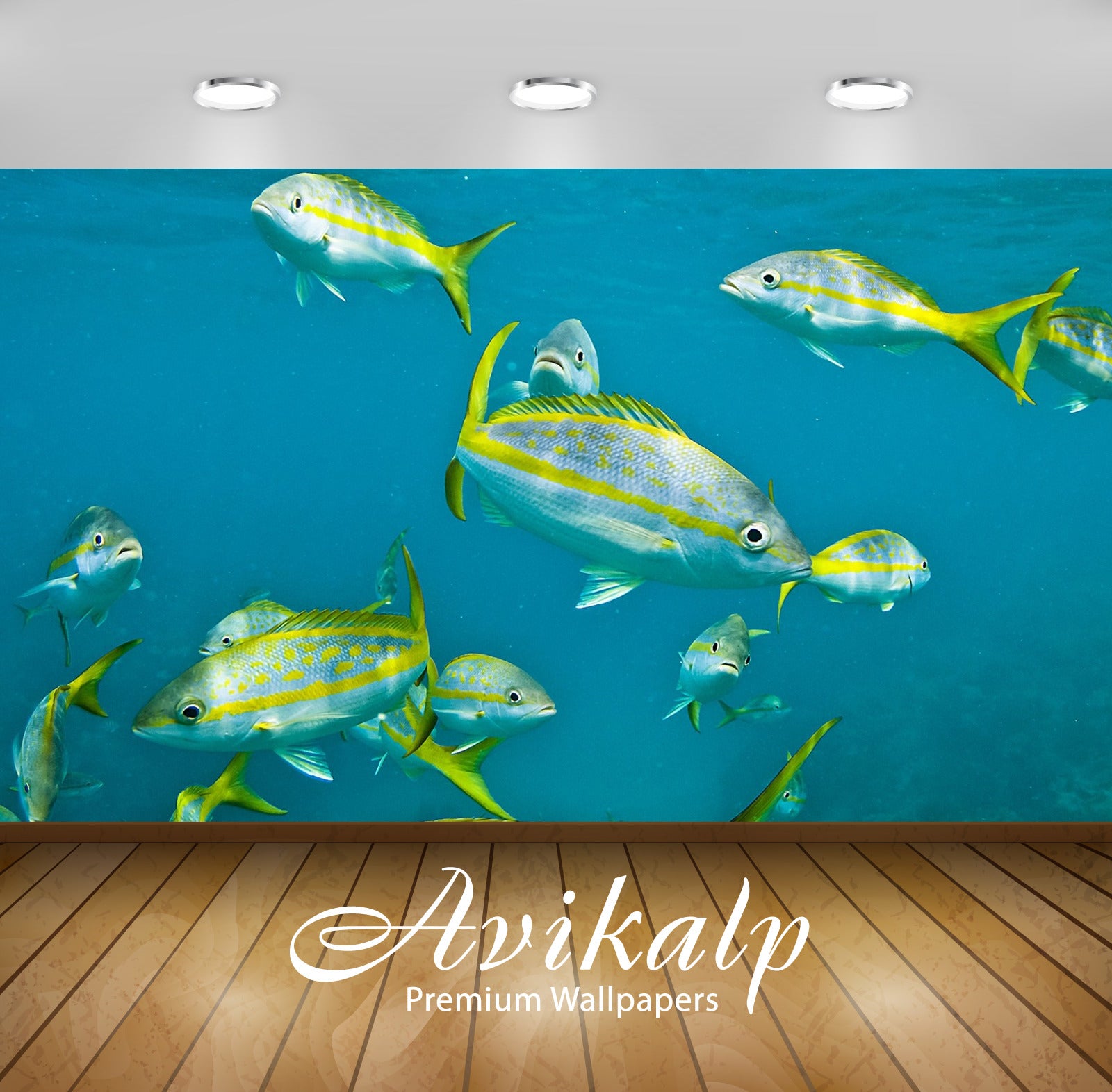 Avikalp Exclusive Awi3231 Yellowtail Snapper Fishes Full HD Wallpapers for Living room, Hall, Kids R