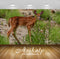 Avikalp Exclusive Awi3232 Young Deer Grass Full HD Wallpapers for Living room, Hall, Kids Room, Kitc