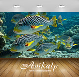 Avikalp Exclusive Awi3238 Zebra Tropical Fish Underwater Sea Life Diagonal Banded Sweetlips Plectorh