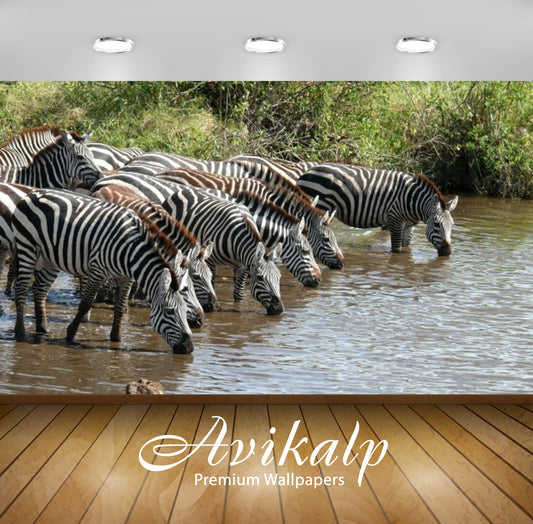 Avikalp Exclusive Awi3239 Zebras Drinking Water Full HD Wallpapers for Living room, Hall, Kids Room,