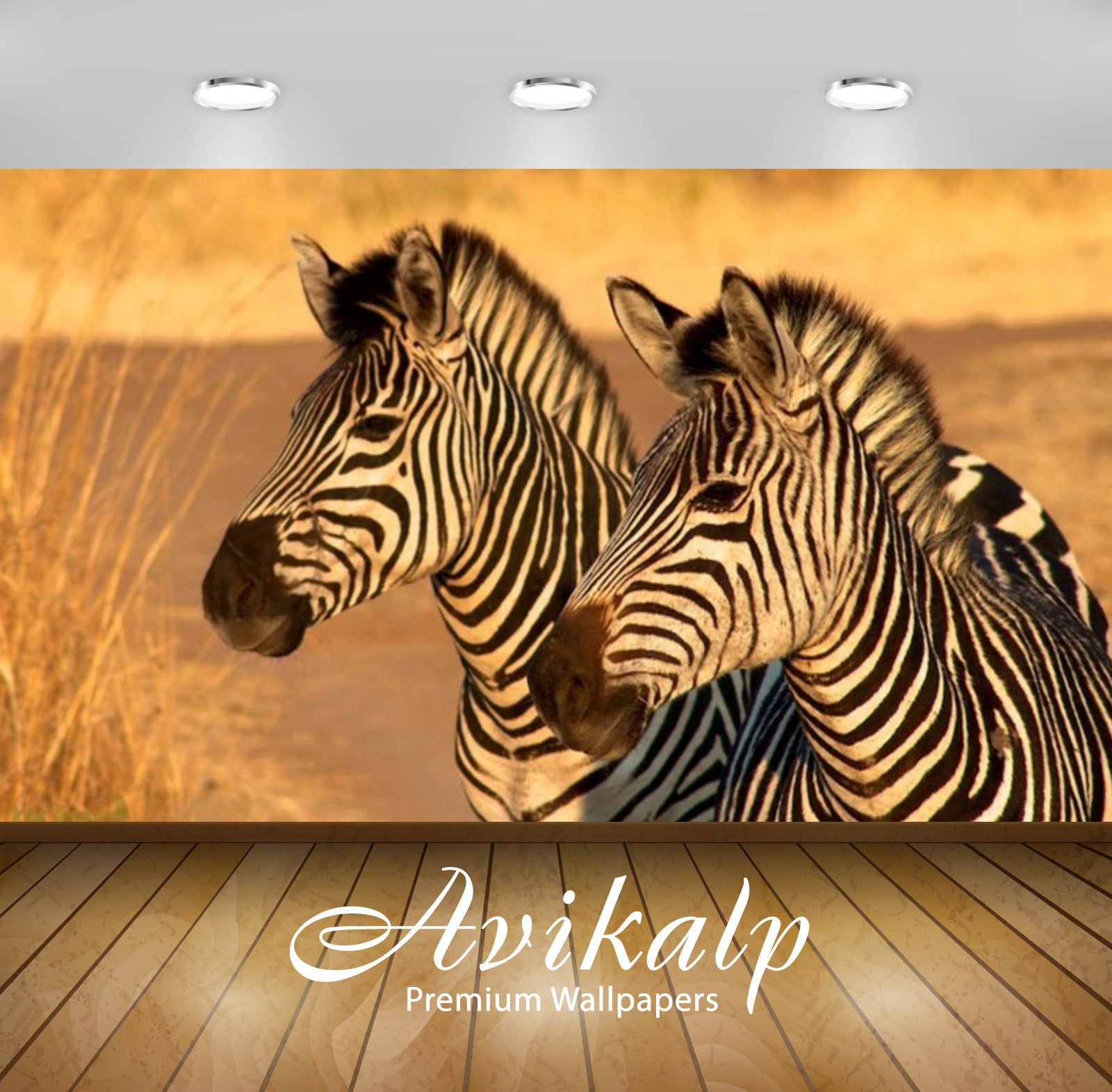 Avikalp Exclusive Awi3241 Zebras Full HD Wallpapers for Living room, Hall, Kids Room, Kitchen, TV Ba