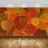 Avikalp Exclusive Awi3269 Beautiful Color Leaves With Water Drops On It Full HD Wallpapers for Livin