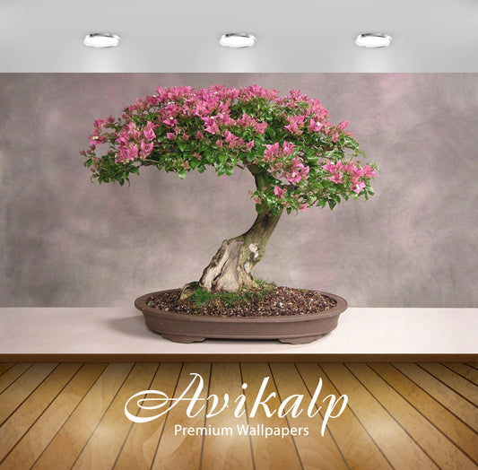 Avikalp Exclusive Awi3277 Bonsai Tree Lucky To Keep Full HD Wallpapers for Living room, Hall, Kids R