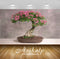 Avikalp Exclusive Awi3277 Bonsai Tree Lucky To Keep Full HD Wallpapers for Living room, Hall, Kids R