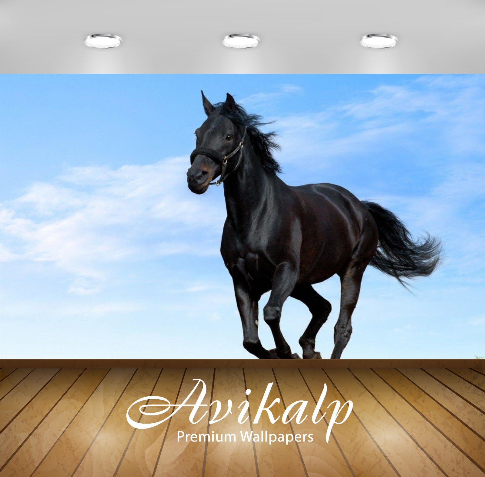 Avikalp Exclusive Awi3284 Running Black Horse Full HD Wallpapers for Living room, Hall, Kids Room, K