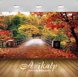 Avikalp Exclusive Awi3285 Beautiful Autumn Scenery Bridge Colorful Nature Trees Full HD Wallpapers f