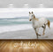 Avikalp Exclusive Awi3287 White Horse Running On The Beach Full HD Wallpapers for Living room, Hall,