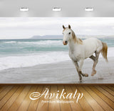 Avikalp Exclusive Awi3287 White Horse Running On The Beach Full HD Wallpapers for Living room, Hall,