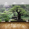 Avikalp Exclusive Awi3288 Bonsai Tree Nature Full HD Wallpapers for Living room, Hall, Kids Room, Ki