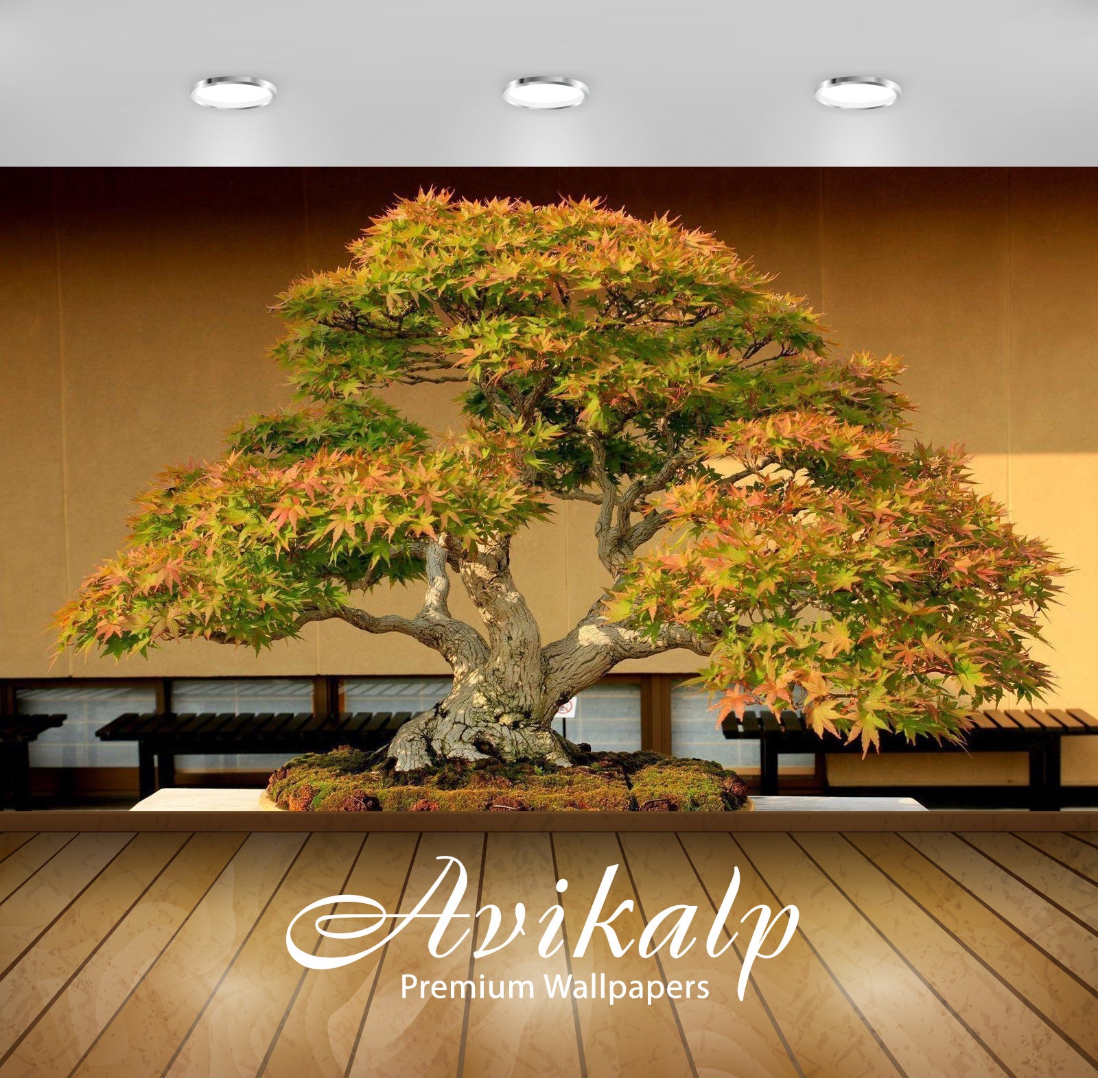 Avikalp Exclusive Awi3289 Bansai Tree Full HD Wallpapers for Living room, Hall, Kids Room, Kitchen,