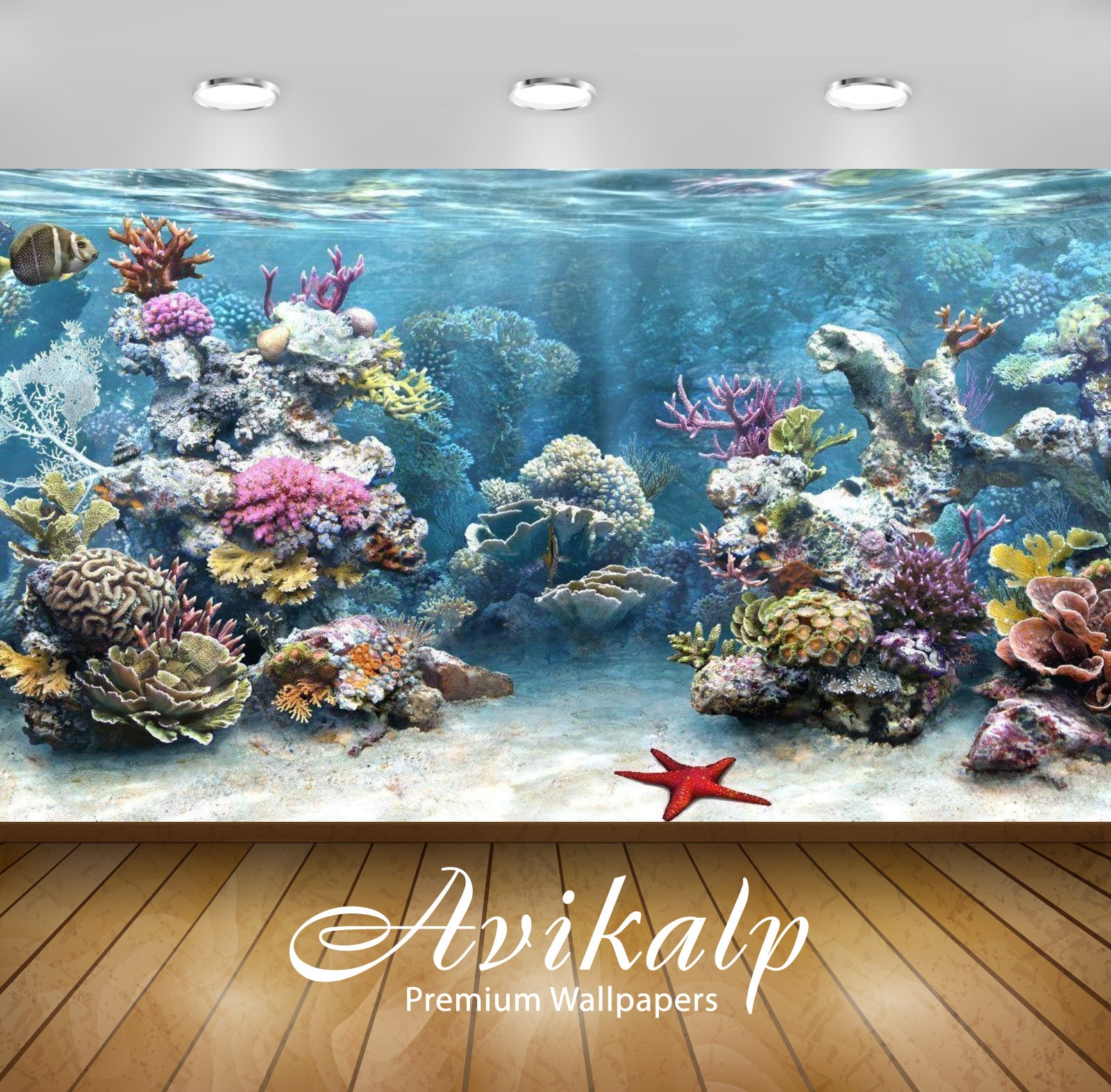 Avikalp Exclusive Awi3290 Aquarium Fishes Star Fish Full HD Wallpapers for Living room, Hall, Kids R