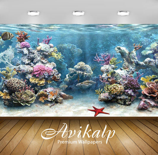 Avikalp Exclusive Awi3290 Aquarium Fishes Star Fish Full HD Wallpapers for Living room, Hall, Kids R