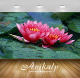 Avikalp Exclusive Awi3372 Pink Lotus Flowers Full HD Wallpapers for Living room, Hall, Kids Room, Ki