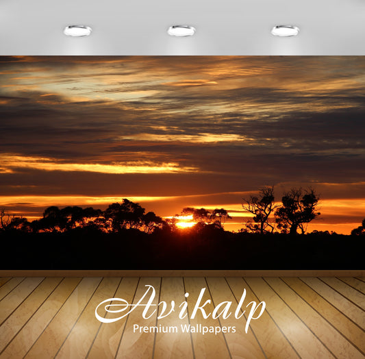 Avikalp Exclusive Premium sunrise HD Wallpapers for Living room, Hall, Kids Room, Kitchen, TV Backgr