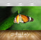 Avikalp Exclusive Premium butterfly HD Wallpapers for Living room, Hall, Kids Room, Kitchen, TV Back