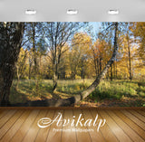 Avikalp Exclusive Awi5123 Autumn Forest Nature Full HD Wallpapers for Living room, Hall, Kids Room,