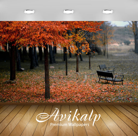 Avikalp Exclusive Awi5161 Autumn Trees In The Park Nature Full HD Wallpapers for Living room, Hall,