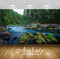 Avikalp Exclusive Awi5466 Forest River Nature Full HD Wallpapers for Living room, Hall, Kids Room, K