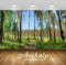 Avikalp Exclusive Awi5555 Green Forest Nature Full HD Wallpapers for Living room, Hall, Kids Room, K