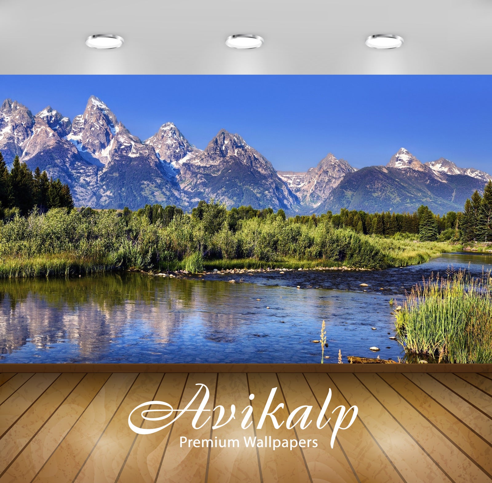 Avikalp Exclusive Awi5581 Green Nature In Grand Teton National Park Nature Full HD Wallpapers for Li