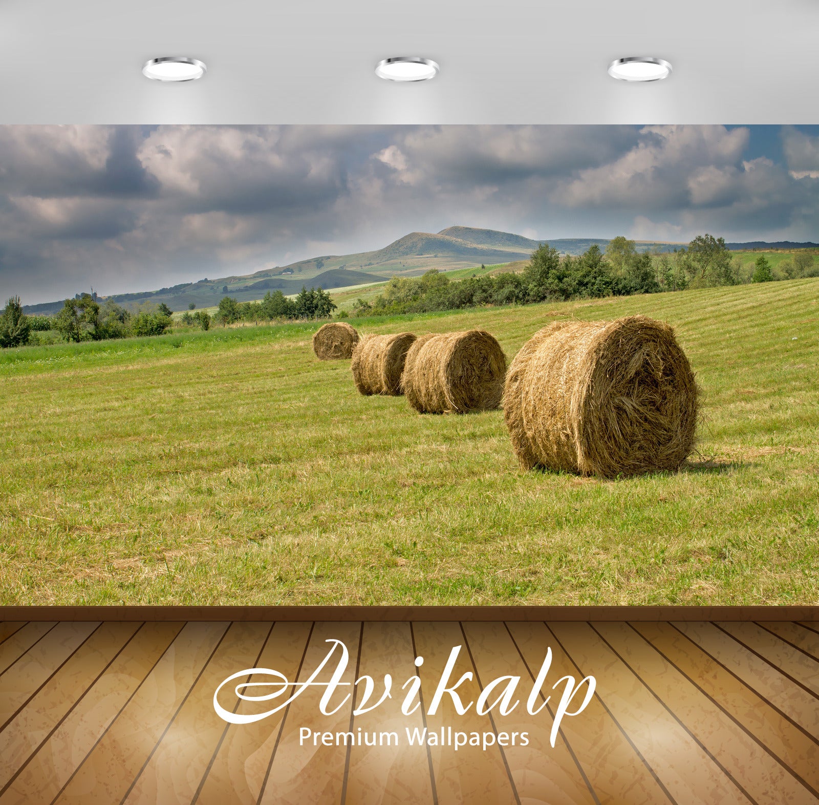 Avikalp Exclusive Awi5600 Hay Bales On The Meadow Nature Full HD Wallpapers for Living room, Hall, K