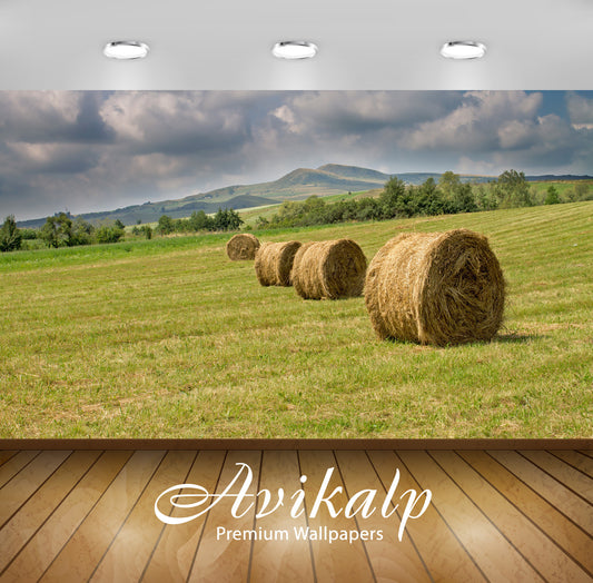 Avikalp Exclusive Awi5600 Hay Bales On The Meadow Nature Full HD Wallpapers for Living room, Hall, K