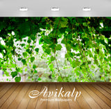 Avikalp Exclusive Awi5646 Ivy Nature Full HD Wallpapers for Living room, Hall, Kids Room, Kitchen, T