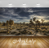 Avikalp Exclusive Awi5652 Joshua Tree National Park Nature Full HD Wallpapers for Living room, Hall,