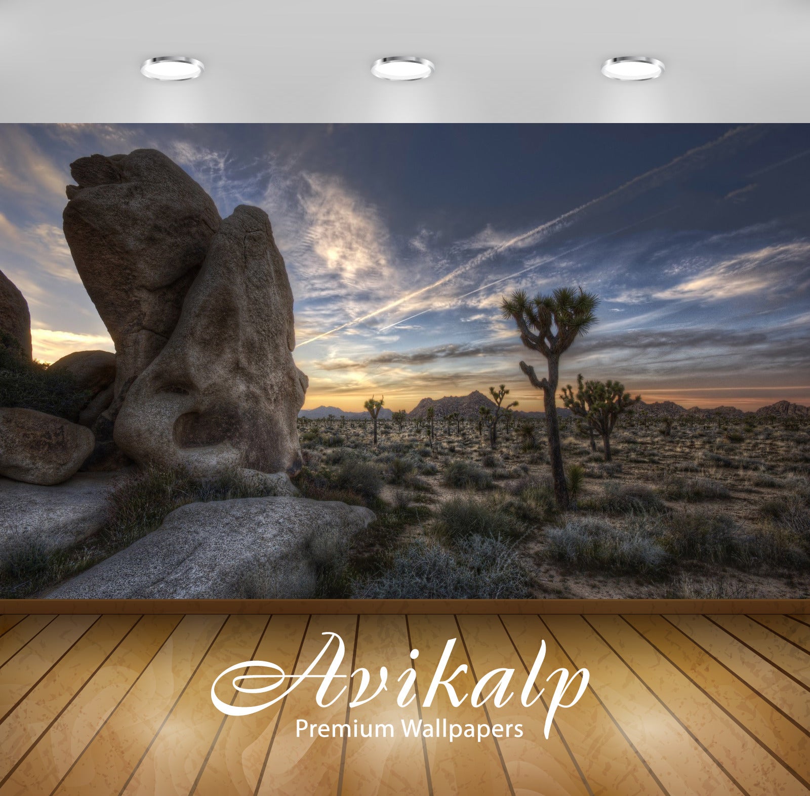 Avikalp Exclusive Awi5653 Joshua Tree National Park Nature Full HD Wallpapers for Living room, Hall,