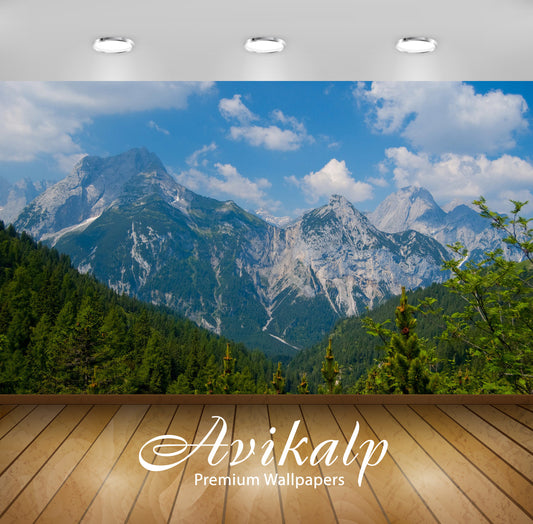 Avikalp Exclusive Awi5673 Karwendel Nature Full HD Wallpapers for Living room, Hall, Kids Room, Kitc