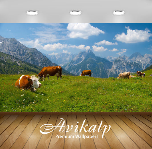 Avikalp Exclusive Awi5674 Karwendel Nature Full HD Wallpapers for Living room, Hall, Kids Room, Kitc