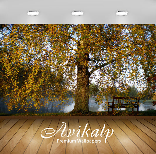 Avikalp Exclusive Awi5685 Lake Bench Aside The Autumn Tree Nature Full HD Wallpapers for Living room