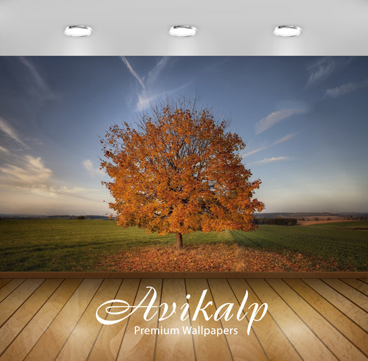 Avikalp Exclusive Awi5720 Lonesome Autumn Tree Losing Its Leaves On The Field Nature Full HD Wallpap