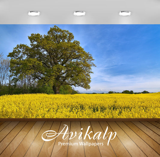 Avikalp Exclusive Awi5723 Lonesome Tree In Rapeseed Field Nature Full HD Wallpapers for Living room,